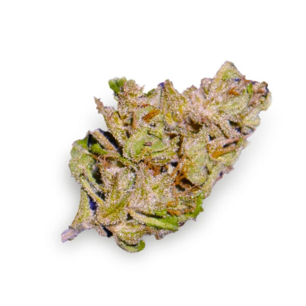 Bonfire Feminized Seeds - Image 2