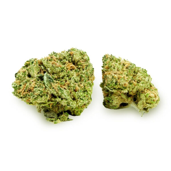 Boogie Nights ® Feminized Seeds - Image 2