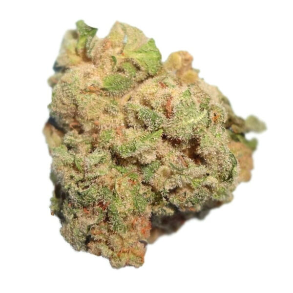 White Queen Feminized Seeds: Your Royal Highness - Image 2