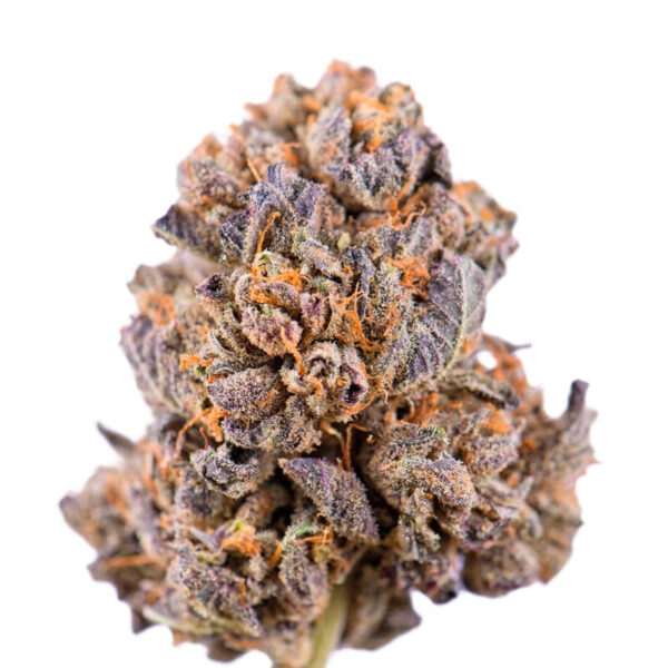 Caramelicious ® Autoflower Seeds - Image 2