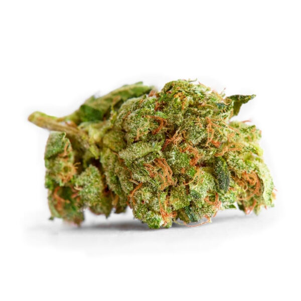 Medijuana ® Feminized Seeds - Image 2