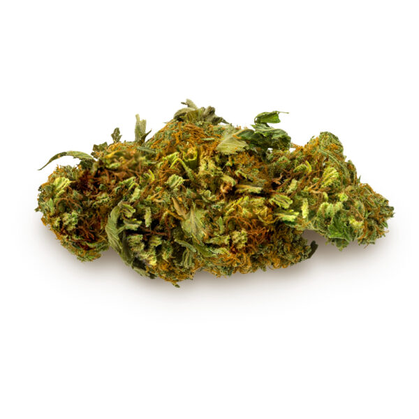 Orange Bud Autoflower Seeds - Image 2