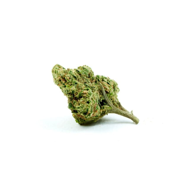 Cheese Feminized Seeds - Image 3