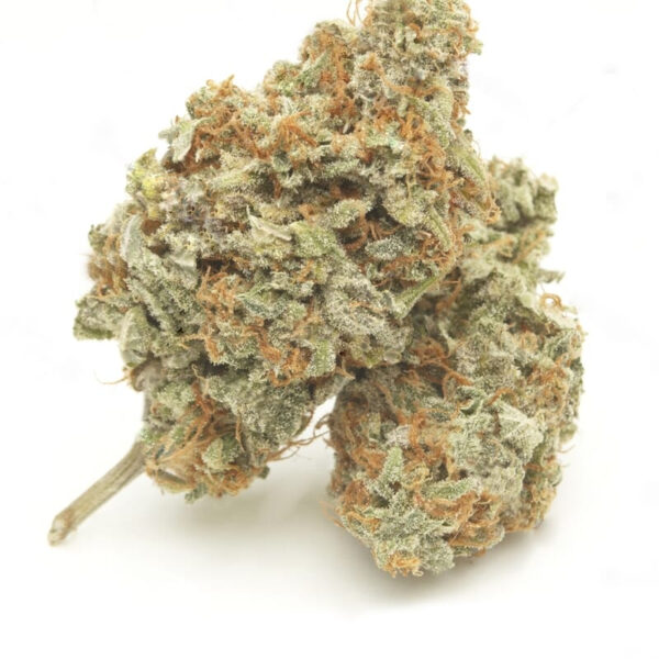 Amnesia Trance Autoflower Seeds - Image 2