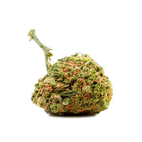Limoncello Kush CBD Feminized Seeds - Image 2