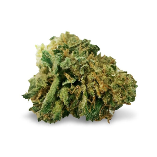Mangolicious ® Regular Seeds - Image 2