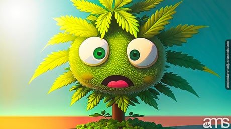 heat-suffering cannabis plant