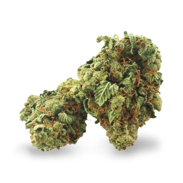 Super Silver Haze Feminized Seeds - Image 2