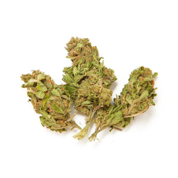 Ice Cream Cake Feminized Seeds - Image 2
