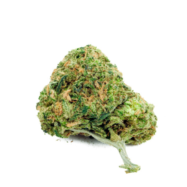 Slurricane Feminized Seeds - Image 2