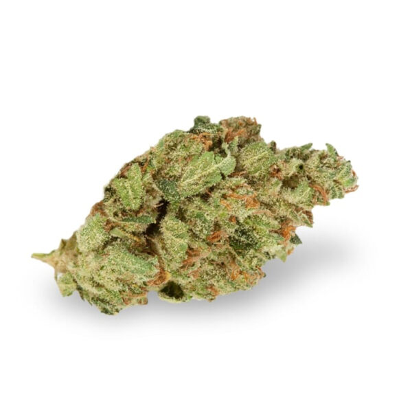 Hawaii Skunk Regular Seeds - Image 2
