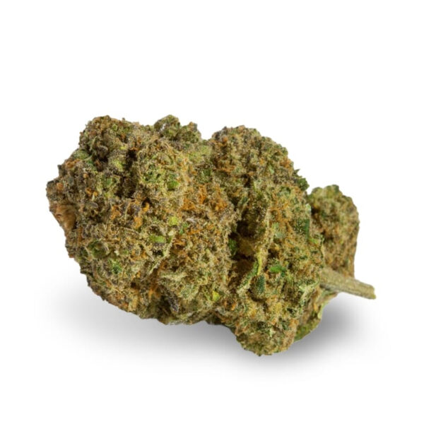 Haze Regular Seeds - Image 2