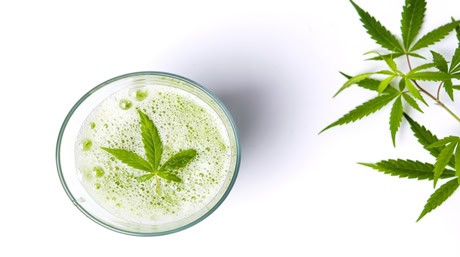Hemp Smoothie
