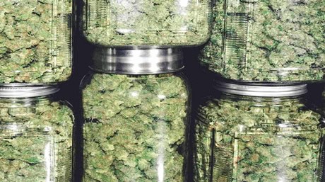 Odor-Proof Cannabis Storage